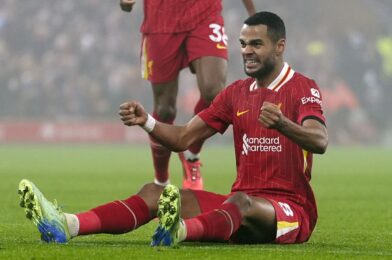آرني سلوت: يظهر وضع مانشستر سيتي أنه من السابق لأوانه الحديث عن لقب الدوري الإنجليزي الممتاز لليفربول | أخبار كرة القدم