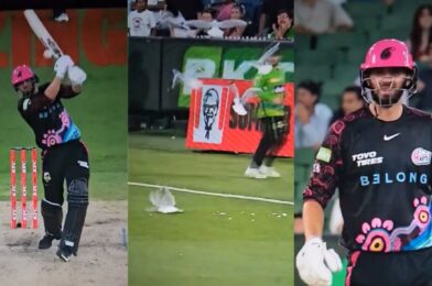 اقتل على الهواء مباشرة على شاشة التلفزيون في BBL بينما تضرب تسديدة جيمس فينس القوية طائر النورس “الفقير”.