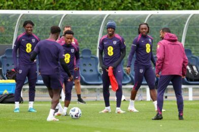 تلقى ex -man utd ace angel gomes اتفاقية من وست هام