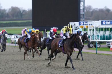 اليوم على قناة Sky Sports Racing: تستضيف Lingfield بطاقة سباق لجميع الأحوال الجوية مكونة من ثمانية سباقات | أخبار السباق