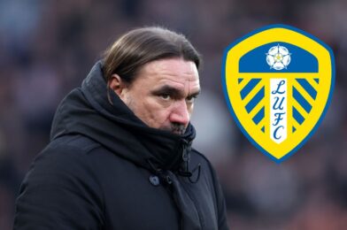 دانييل فارك يقوم بقبول ستارك بعد مغادرة QPR