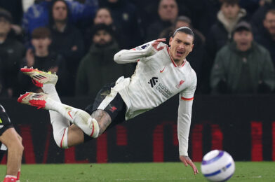 داروين نونيز مفتوحة للحركة السعودية ؛ ليفربول يبحث في استبدال EPL