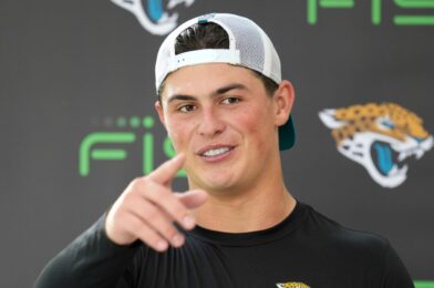 لويس ريس زاميت يوقع مرة أخرى مع جاكسونفيل جاكوارز في NFL Lifeline | أخبار اتحاد كرة القدم الأميركي