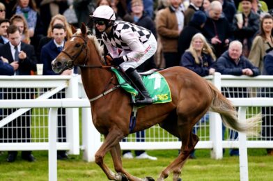 اليوم في Sky Sports Racing: Arkle المفضل Sir Gino Manchetes Super Saturday Card من Newbury | أخبار الجري