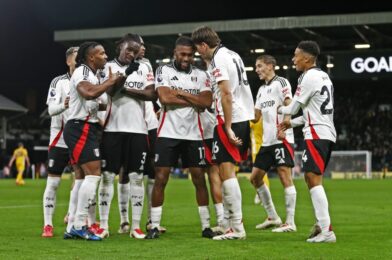 Fulham v Crystal Palace – الخطوط والإحصاءات والتصور
