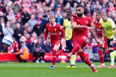 يأتي Reds من الخلف للحصول على 16 نقطة إضاءة