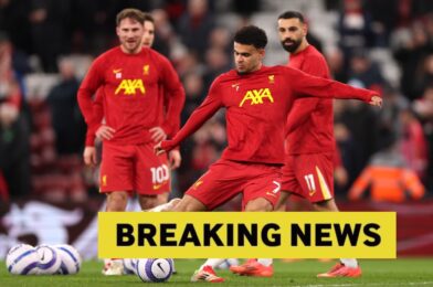 مجموعة السعر 70 مليون يورو: ليفربول جاهز لجلب رهان كبير على مصلحة عمالقة اليورو