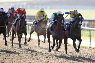 اليوم في Sky Sports Racing: يستضيف Lingfield و Wolverhampton Action الحية لأي مزاج يوم الاثنين | أخبار الجري