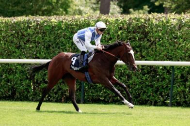 اليوم في Sky Sports Racing: Polyvega و Darling Hot Darling Clash في Cettlery مع Fontwell و Southwell و Wolverhampton يعيشون أيضًا يوم الاثنين | أخبار الجري