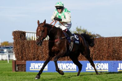 Grand National: احتفل D’Alen بعد أيام من الانهيار بالقرب من خط الانتهاء من Aintree ؛ Jockey Micheal Nolan ممنوع للمشي | أخبار الجري