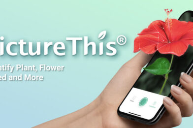 PictureThis v5.9.0 MOD APK (Premium Unlocked) Download نسخة مهكرة 2025