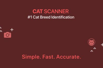 Download Cat Scanner v19.0.0-G APK + MOD (Premium Unlocked) نسخة مهكرة 2025