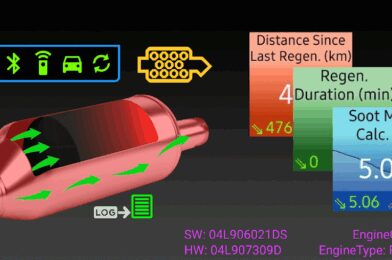 VAG DPF نسخة مهكرة 2025