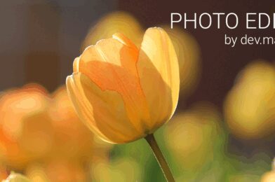 Photo Editor v12.0.1 MOD APK (Pro Unlocked) Download نسخة مهكرة 2025